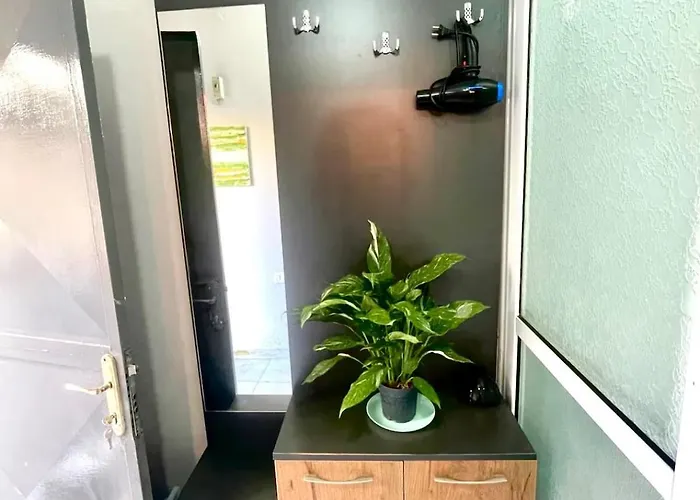 Cheerful Studio With A Warm Vibe